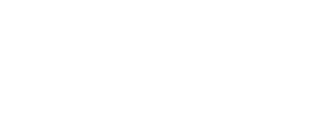 FF Studio
